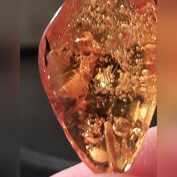 Pendant 14K Gold On Rare Amber With Insect Traped In Amber .. - Picture 5 of 11